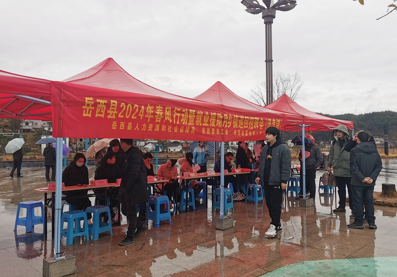 岳西县2024年春风行动暨就业援助月乡镇巡回招聘会